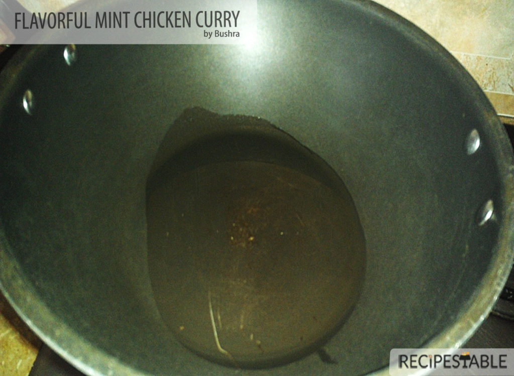 The Flavorful Mint Chicken curry  Recipe 